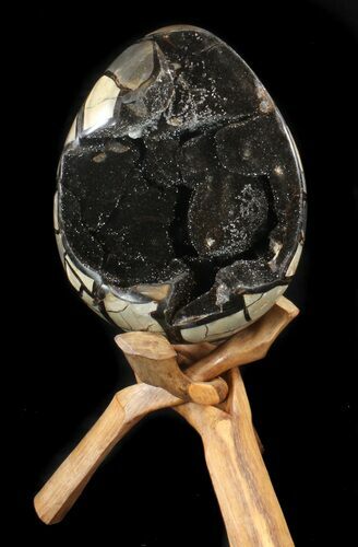 Septarian Dragon Egg Geode - Black Crystals #37117